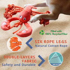 Pawfoo Lab homard peluche couture renforcée : meilleure résistance pour chiens actifs.