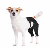 Pawfun manche patte arrière anti-lechage pour chien en action.