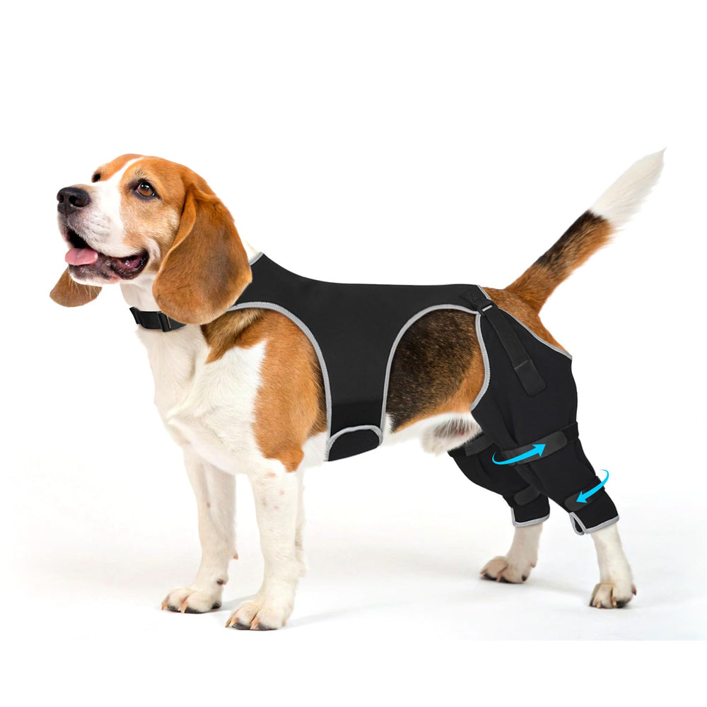 Pawfun: manchon patte arriere anti-lechage protégeant plaies et irritations.