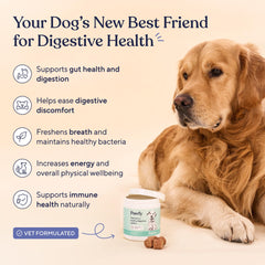 Pawfy Probiotiques pour chiens – gommes bacon, faciles à donner pour une routine saine.