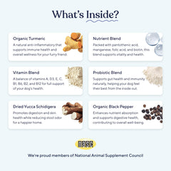Pawfy Probiotiques – ingrédients prébiotiques mis en avant pour une meilleure absorption.