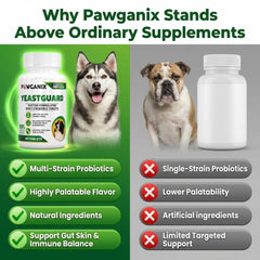 Ingrédients naturels et prébiotiques soutiennent l’équilibre intestinal du chien.