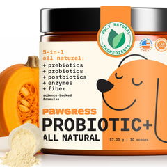 PAWGRESS poudre probiotiques 5-en-1 dans une boîte, pratique pour la routine quotidienne.