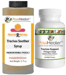 PawHealer sirop trachee 5 oz, parfum herbace prêt à l’emploi.