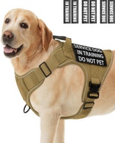 PawistaPal gilet d'entraînement pour chien de service, ajustement sûr et confort
