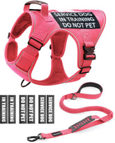 PawistaPal harnais et longe en formation pour un confort sur mesure.