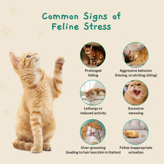 Pawith Patch diffusion-pheromone: diffusion apaisante pour le stress.
