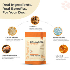 PawLabs collagene poudre chien – ingrédients clés renforçant cartilage et mobilité