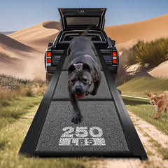 Rampe Pawlify pour chien, entrée fluide dans le véhicule.