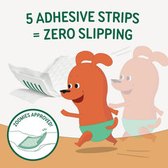 PAWPANG cinq bandes adhésives: fixation sûre pendant les mouvements.