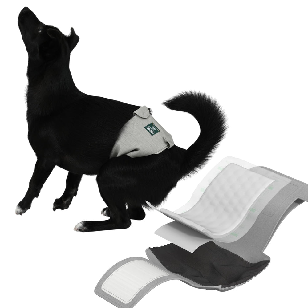 PAWPANG Copper Fit Mate wrap sans-glissement assure un maintien fiable.