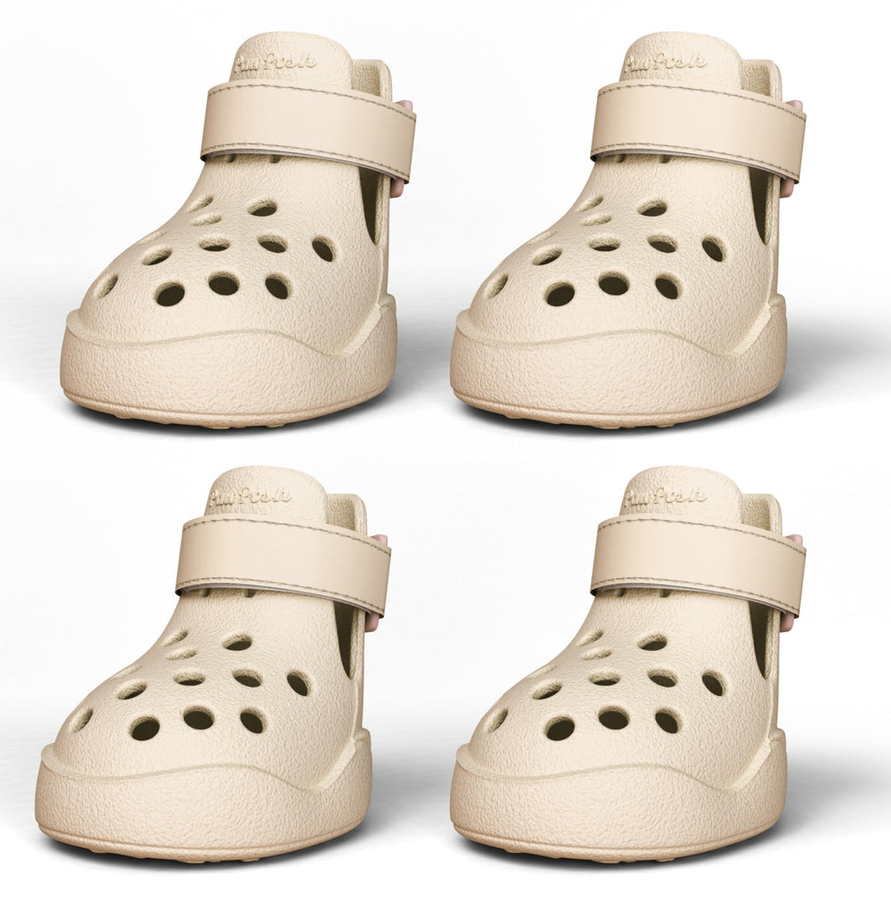 Chaussures PawPosh antidérapantes et imperméables protègent les pattes sur sols mouillés.