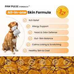 PAWPULSE FORMULA gommes pour chiens, soulagement des grattages autour des pattes et des oreilles
