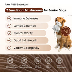 PAWPULSE FORMULA criniere-de-lion pour chien, clarté mentale et énergie