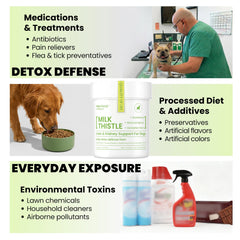 PAWPULSE FORMULA – doseur-poudre, dosage facile pour chiens