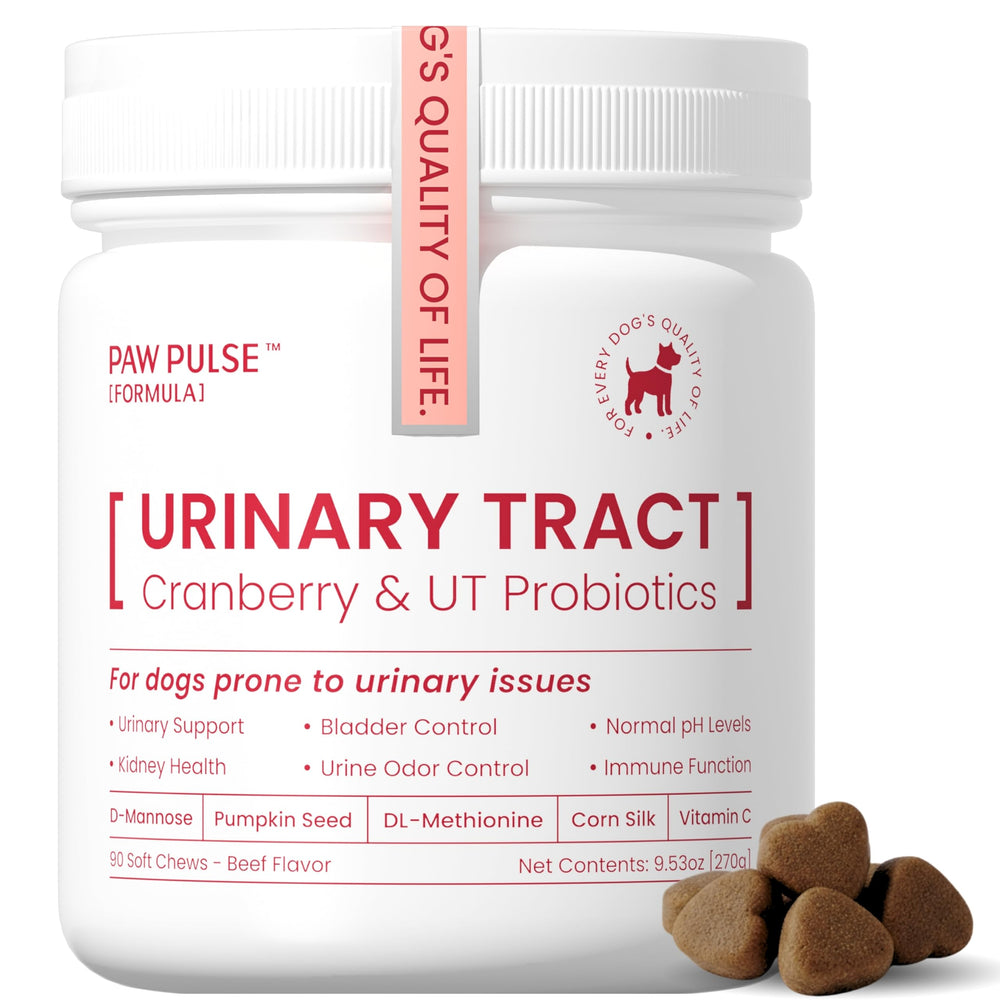 PAWPULSE FORMULA: friandises molles cranberry pour chiens, soutien potentiel de la fonction urinaire canine.