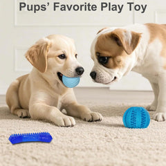 Os-brosse caoutchouc doux PawsAion massage gencives et jeu interactif