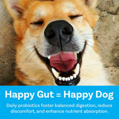 PawSafe Ingrédients Citrouille Fenugrec – Soutien digestif naturel et prebiotique.