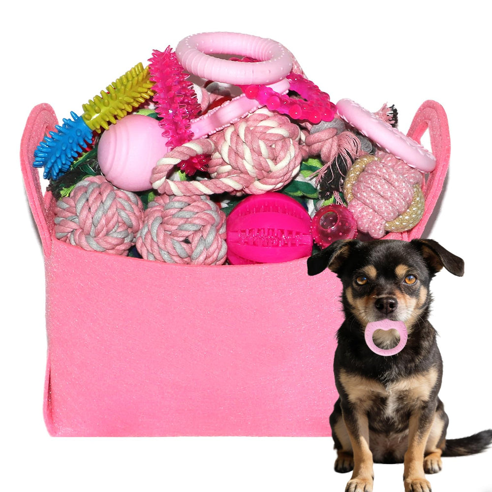 PawsAion ensemble de jouets chiots rose, variété pour dentition et jeu stimulant.