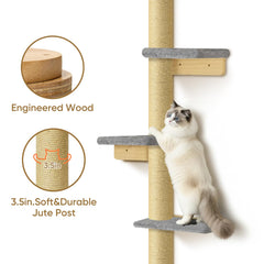 PAWSCRAT arbre chat mural 80 pouces – espace vertical pour grimper et observer.