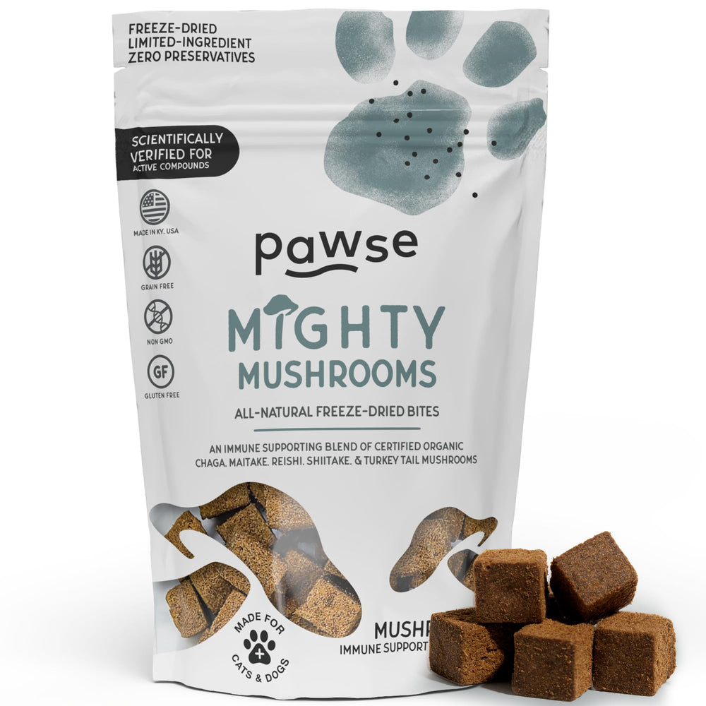 Pawse Mighty Mushroom Chews emballage visible, idéal pour l'achat quotidien.