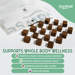 Pawse Mighty Mushroom Chews reishi et chaga, antioxydants potentiels pour la vitalité.