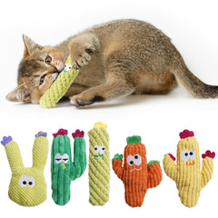 Jouet cactus arc-en-ciel Pawsible pour chat, stimule l'activité et amuse durablement.