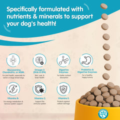 Pawsitive Wanderfound avec glucosamine et MSM: soutien des articulations et mobilité.