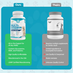 Pawsitive Wanderfound vitamines chien: renforcement possible des défenses naturelles.