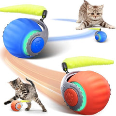 PawsomeFinds Balle interactive chat queue rapide idéale pour l'enrichissement des chats d'intérieur.