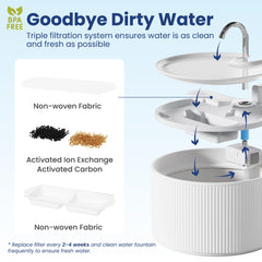 PAWSPIK filtration avancée améliore le goût et l'hydratation.