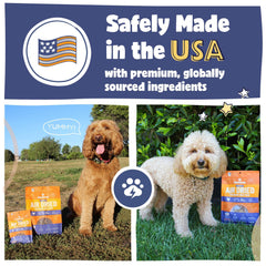 Pawstruck alimentation air seche poulet usine USA sans céréales