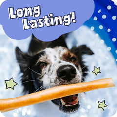 Collagène Pawstruck longue durée, idéal pour chiens actifs.