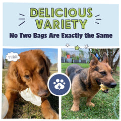 Pawstruck sabots de boeuf, protenines élevées et faible en gras