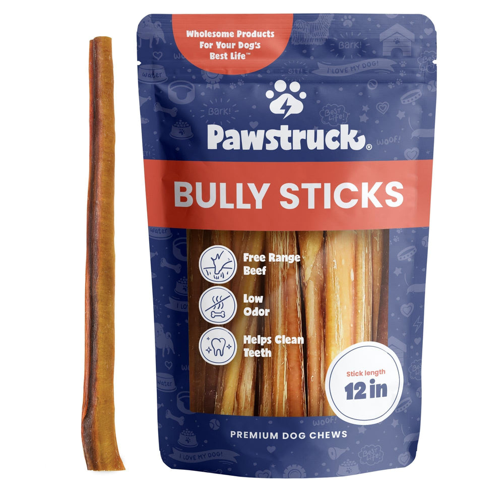 Pawstruck Bully Stick 12 pouces, gros plan, friandise naturelle à mâcher longue durée