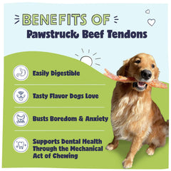 Pawstruck Tendon de Boeuf Durable, friandise longue durée pour chiens actifs.