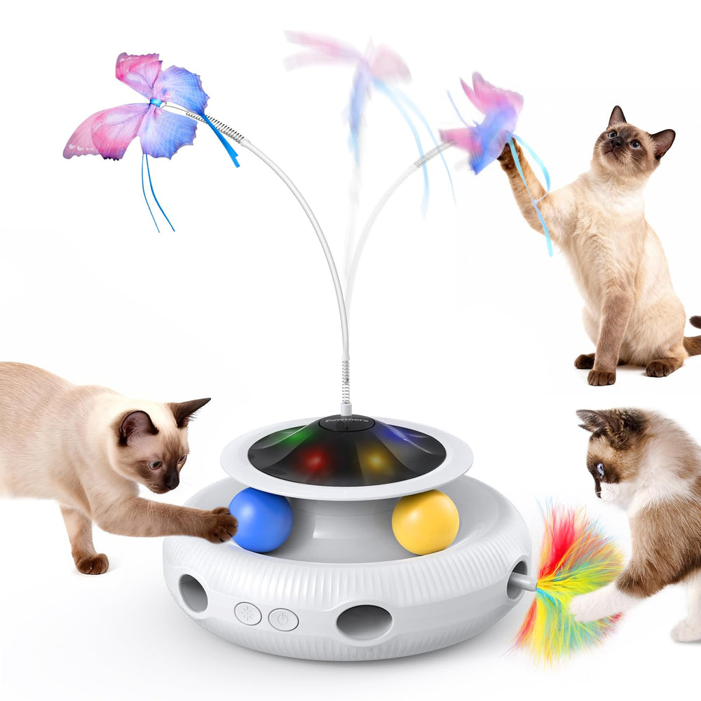 Pawtners : papillon battant pour stimulation physique et mentale du chat.