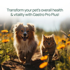 Animaux heureux grâce au soutien digestif de Gastro Pro Plus.