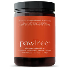 pawTree Gastro Pro Plus — bouteille pratique, soutien potentiel à la digestion des chiens et chats.