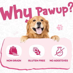 PAWUP dentition-dents-brillants – anneau rawhide favorise une mastication soutenue.