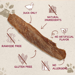 PAWUP, récompenses d'entraînement au canard, soutiennent l'apprentissage des chiens.