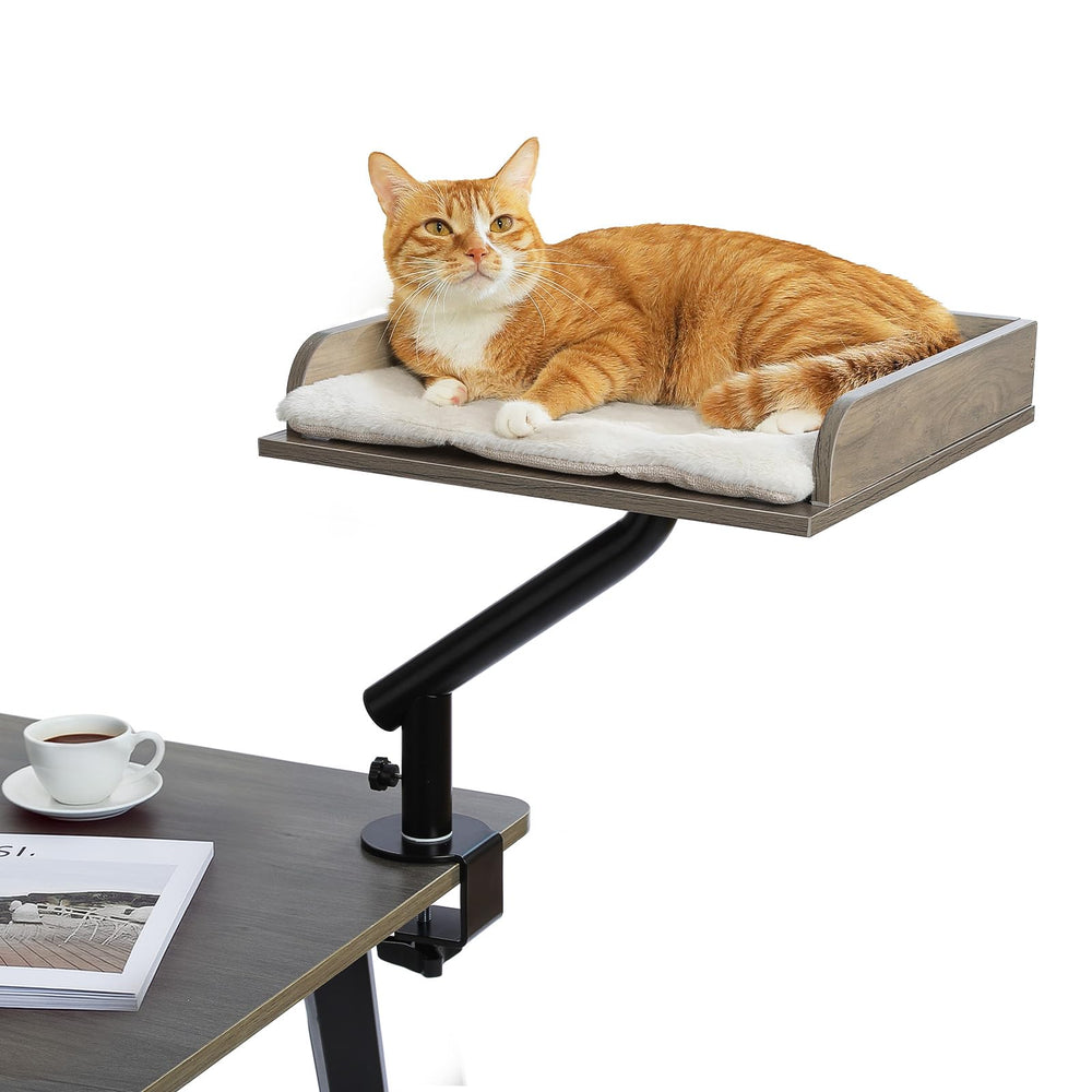 PAWZ Road chat-lit-bureau rotation 360, proche de vous pendant le travail.