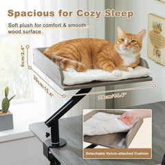 PAWZ Road support bois solide, stabilité accrue jusqu'à 50 lb.