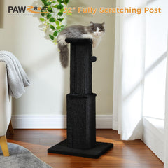 PAWZ Road griffoir chat balle suspendue pour stimulation ludique
