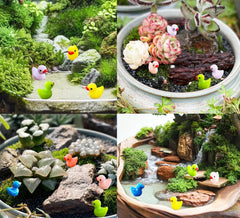 Canards Pcxino en résine, chic pour pots de fleurs et tables décoratives.