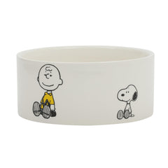 Peanuts Snoopy et Charlie Brown, gamelle pierre avec design Snoopy et Charlie Brown, repas propres