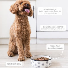 Pearhead assiette chien base antidérapante – stabilité pendant les repas