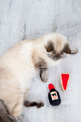 Pearhead chat vin joue bouteille crissante : sons qui encouragent la chasse et le jeu.