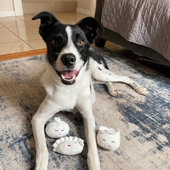 Détail du sifflet intégré dans une peluche Pearhead Dim Sum pour chien.