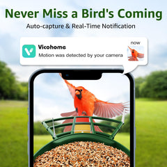 PeckCam Partage jusqu'à quatre utilisateurs pour observation